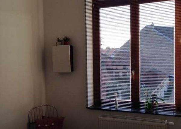 Vals plafond met moluren en ramen in hout (onbehandeld)