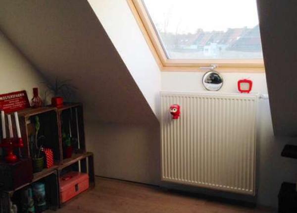 Velux met houten afwerking